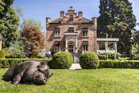 Kasteeltje Hattem Hotel in Roermond