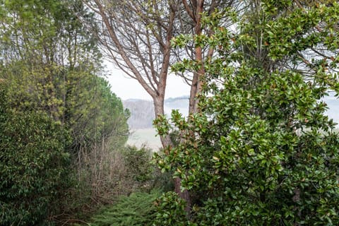 Garden view, Mountain view