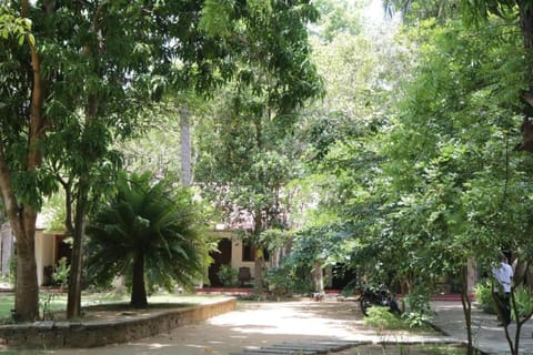 Landmark view, Quiet street view