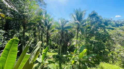 Jungle Villa with Panoramic View Vacation rental in Ubud