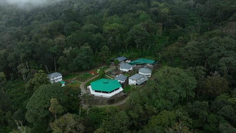 Property building, Day, Natural landscape, Bird's eye view