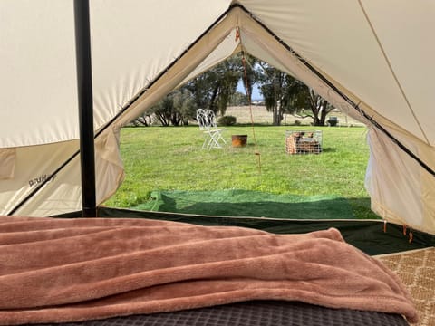 Cosy Glamping Tent 4 Luxury tent in Ararat