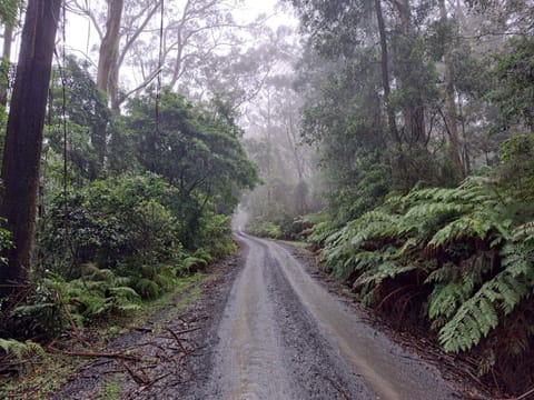 Red Rocks Mountain Retreat, Browns Mountain, Kangaroo Valley House in Kangaroo Valley