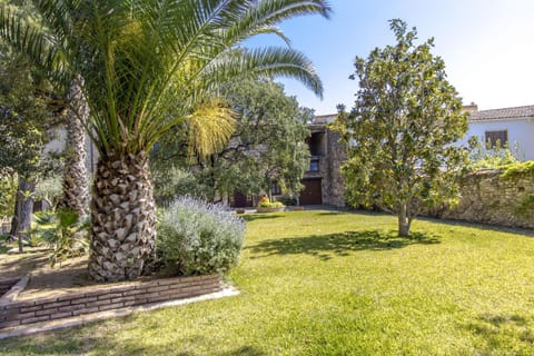 Patio, Garden, Garden view