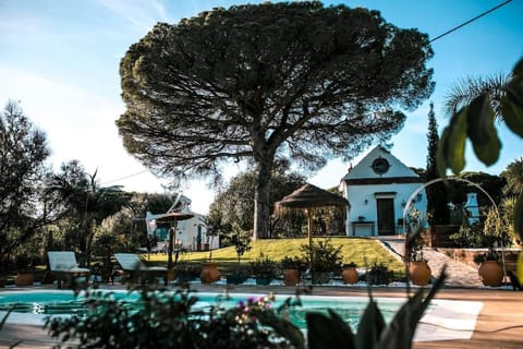 Garden, Garden view, Swimming pool