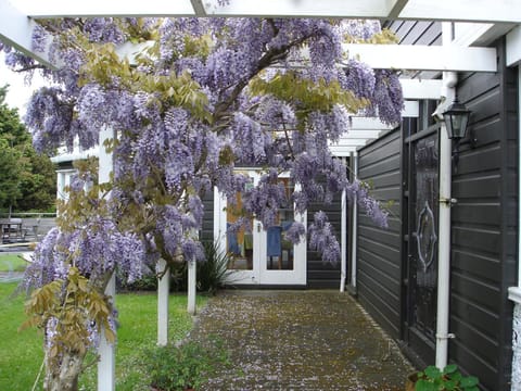 Country Homestead at Black Sheep Farm Bed and Breakfast in Auckland Region