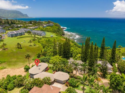 Pu'uwai Hale - 4 Bedroom House in Princeville