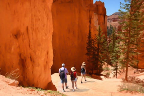 Angels Landing House in Washington