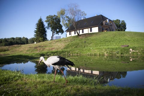 Pööni Tavern & Guesthouse Bed and Breakfast in Estonia