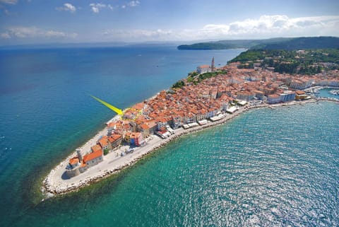 Nearby landmark, Day, Bird's eye view, City view