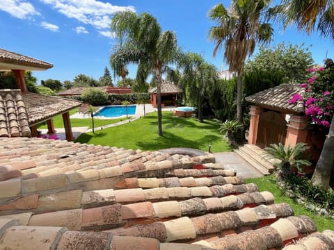 Patio, Garden, Garden view