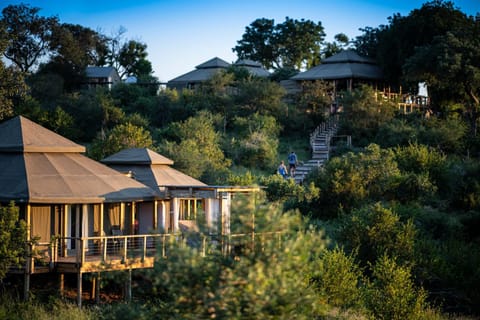 Simbavati Hilltop Lodge Lodge nature in South Africa