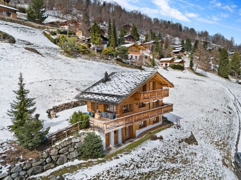 Chopicalqui - 14 pers - sauna Chalet in Nendaz