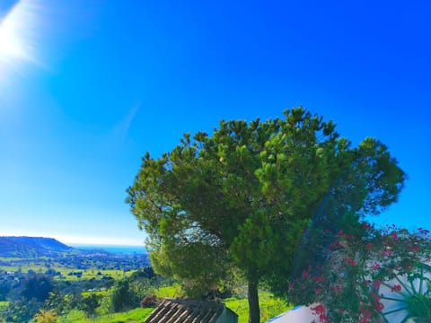 Patio, Garden, Garden view