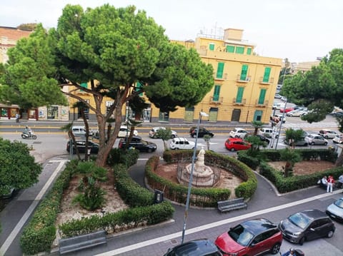 Garden, City view, Street view