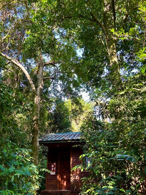 Rainforest Hotel & Cabañas Hotel in Puerto Iguazú