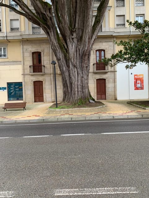 Property building, Street view