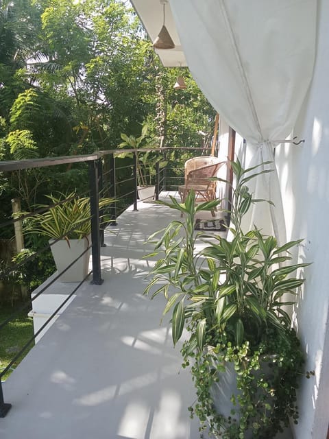 Balcony/Terrace, Garden view