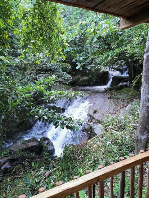 Rain Forest Inn Capanno nella natura in Cameron Highlands