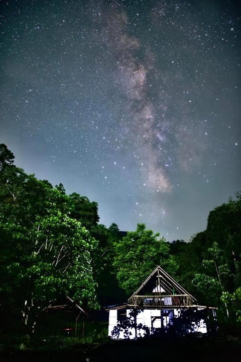 Chumang River Nest Lodge nature in West Bengal