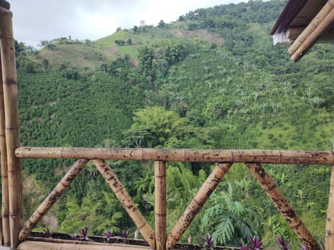 La Cabaña de Bambú Chalet in Manizales