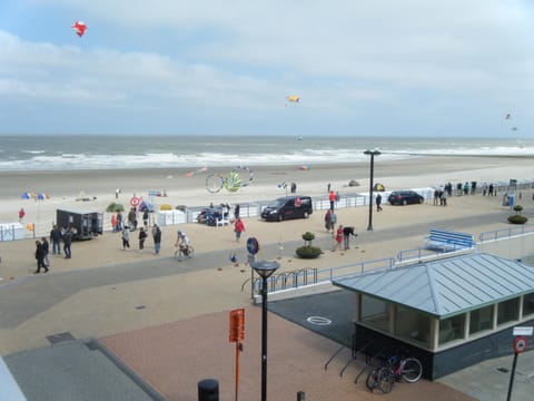 Natural landscape, Beach, Windsurfing