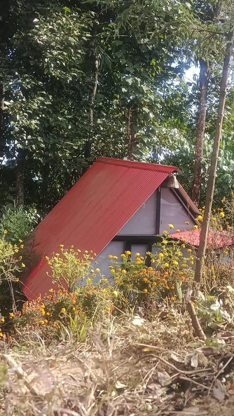 Doko Resort, Kanyam Resort in West Bengal