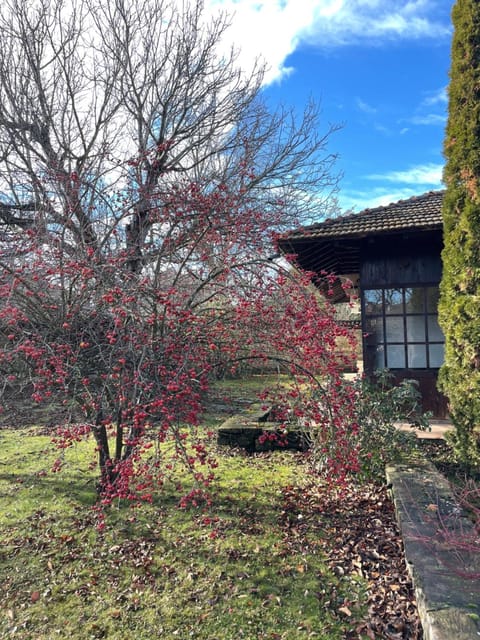 Garden, Garden view