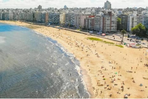 Nearby landmark, Day, Natural landscape, Bird's eye view, Beach, Location, sunbed