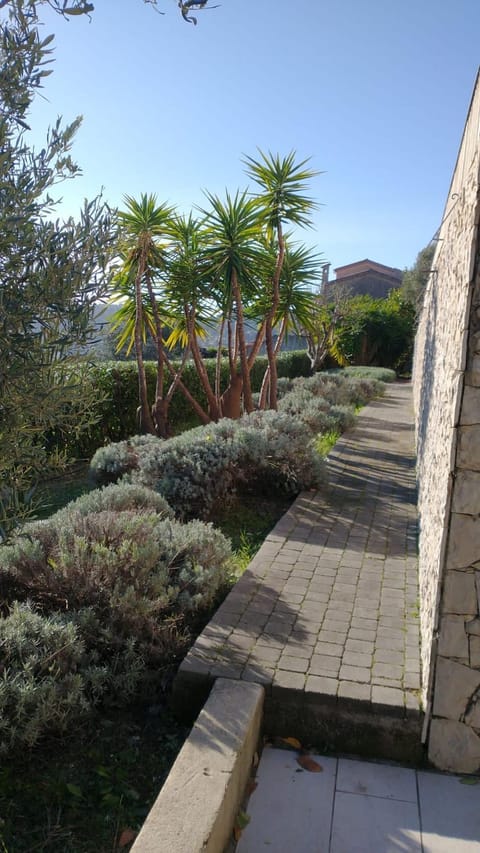 villa d architecte climatisée avec vue panoramique sur la mer et la ville Villa in Mougins