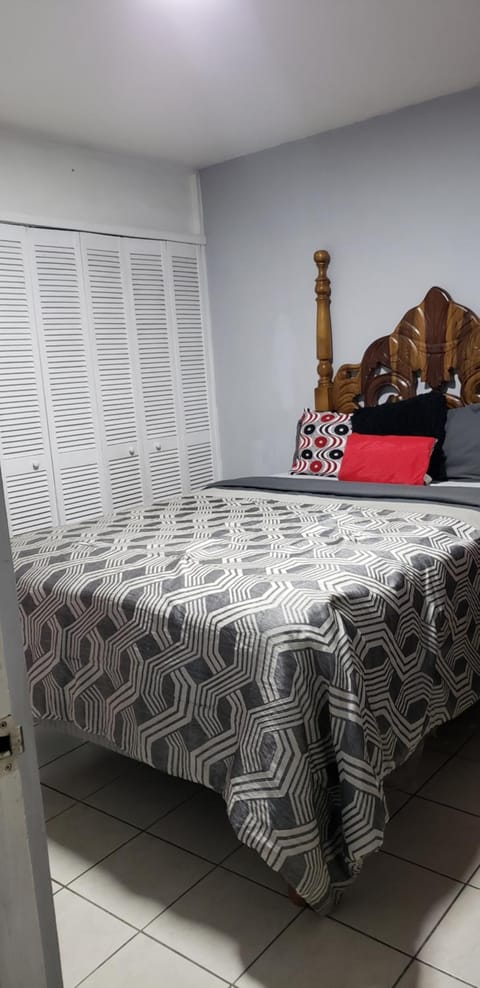 Large Gated King Bed Apartment in Central Kingston Condo in Kingston