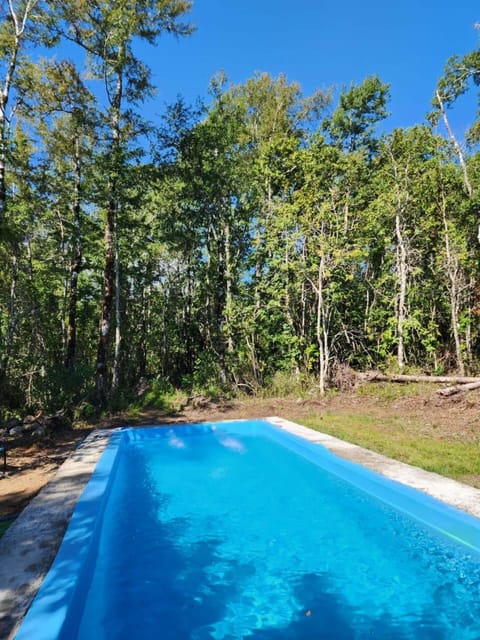 Spring, Day, Natural landscape, Garden, Garden view, Pool view, Swimming pool