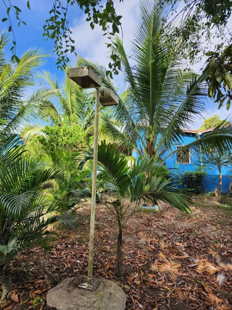 Sitio Nyssa Country House in State of Sergipe, Brazil