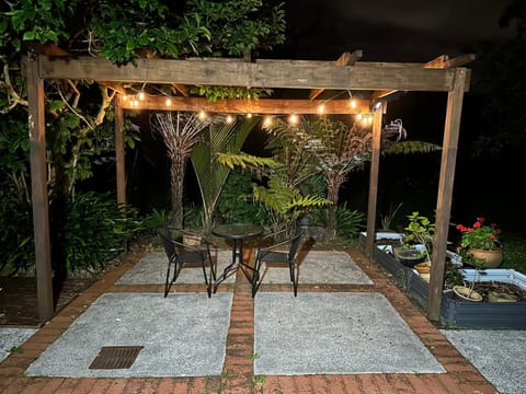 Patio, Night, Garden, Garden view