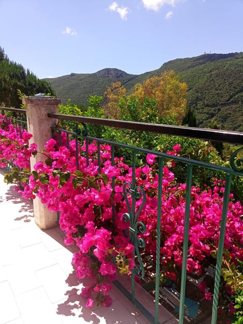 Spring, Balcony/Terrace, Garden view