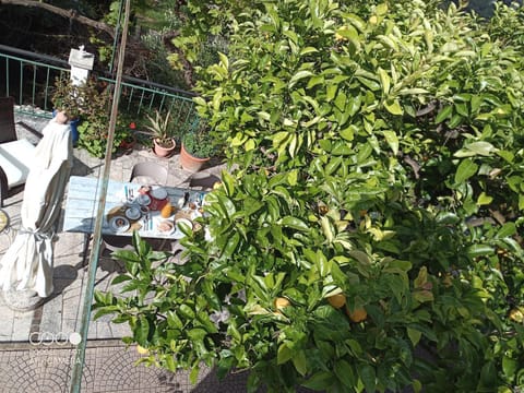 Garden, Garden view, Breakfast