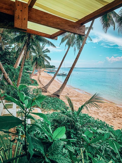 Natural landscape, Beach, Sea view