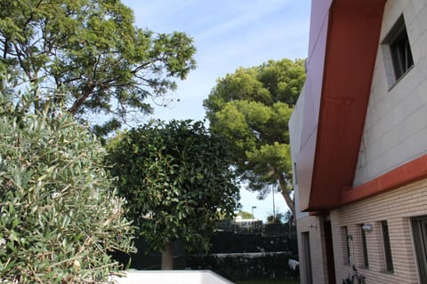 Garden, Balcony/Terrace, Garden view