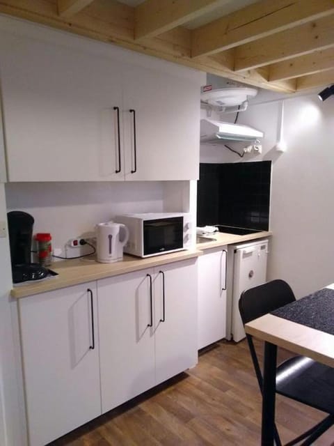 Coffee/tea facilities, Kitchen or kitchenette, minibar, stove, toaster