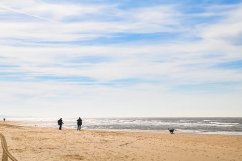 People, Natural landscape, Beach, Sea view