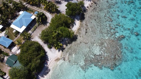 Bird's eye view, Beach