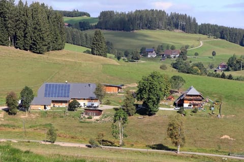 Balzenhof Apartment in Titisee-Neustadt