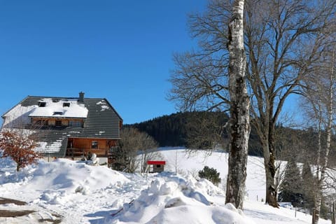 Balzenhof Apartment in Titisee-Neustadt