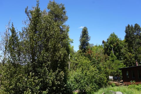 Cabaña compartida en santuario de la naturaleza Rio Cutipay Country House in Los Ríos, Chile