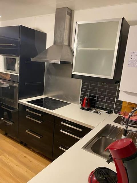 Kitchen or kitchenette, dishwasher, minibar, pet friendly, stove