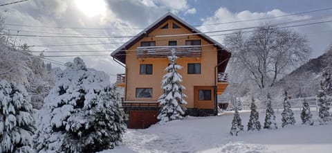 Pensiunea Andy Moieciu Bed and Breakfast in Brașov County