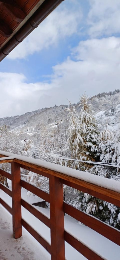 Pensiunea Andy Moieciu Bed and Breakfast in Brașov County