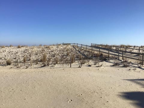 Pet Friendly Beachfront Vacation Rental On Lbi Eigentumswohnung in North Beach Haven
