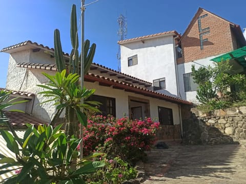 Patio, Garden, Balcony/Terrace