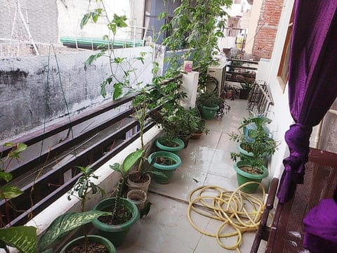 Balcony/Terrace, Garden view